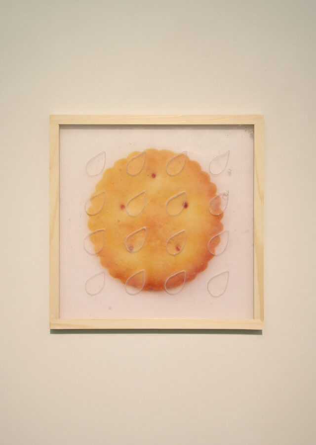 ビスケットに降り注ぐ水